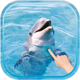 ikon Magic Ripple : Cute Dolphin