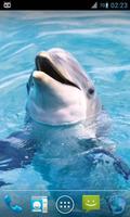 Magic Ripple : Cute Dolphin ảnh chụp màn hình 3