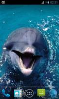 Magic Ripple : Cute Dolphin Affiche
