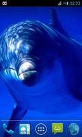 Magic Ripple : Cute Dolphin ảnh chụp màn hình 2