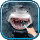 Magic Touch Shark Attack ไอคอน