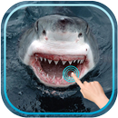 Magic Touch Shark Attack APK