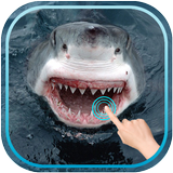 Magic Touch Shark Attack icône