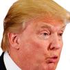 100+ Donald Trump Fun Facts! APK