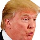 100+ Donald Trump Fun Facts! APK
