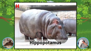 ABC Animals Flash Card screenshot 1