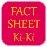 Fact-Sheet icône