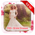 550+ Bridal Dresses Ideas icône