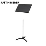 Best Music Lyric Justin Bieber