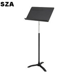 Best Music Lyric SZA