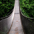 bridges wallpaper APK