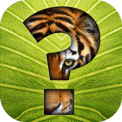 Guess The Animal Quiz Trivia