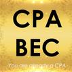 CPA Exam Review - Business environment & Concepts