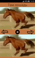 Horse with two legs: cool Youtube memes for fun Affiche