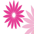 Mileto Flowers