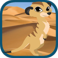 Meerkat Games