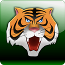 Carnivorous animals and facts APK