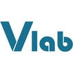 Vlab remunerated surveys