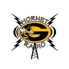 Hornet Radio ikon