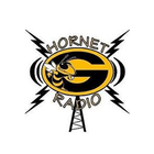 Hornet Radio आइकन