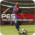 Guide PES 2018