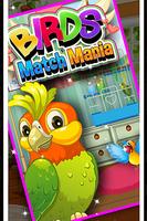 Birds Match Mania Plakat