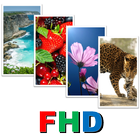 Wallpaper HD/FHD/QHD/UHD icône