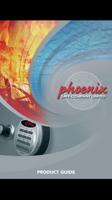 Phoenix Safe Affiche