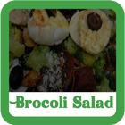 Brocoli Salad Recipes Full-icoon