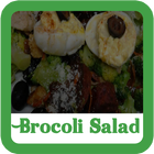 Brocoli Salad Recipes Full icône