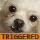 Triggered Sounds icon