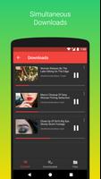 Video Downloader পোস্টার