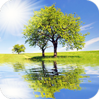 Icona Photo Mirror Editor