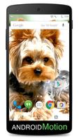 Yorkshire Terrier Background ảnh chụp màn hình 3