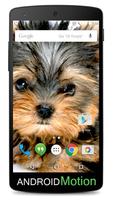 Yorkshire Terrier Background screenshot 2