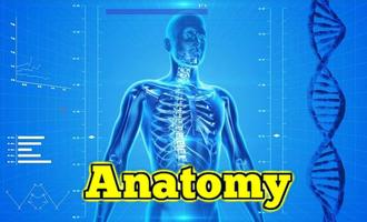 Anatomy Learning  3D Teach 포스터