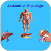 Anatomie et Physiologie Humaine