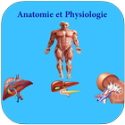 Anatomie et Physiologie Humaine أيقونة