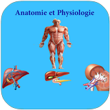 Anatomie et Physiologie Humaine icône