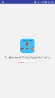 Anatomie et Physiologie Humaine ポスター