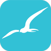 Albatross Web Browser