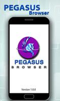 Pegasus Ekran Görüntüsü 1