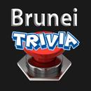 Brunei Trivia APK