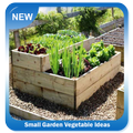 Small Garden Vegetable Ideas