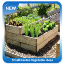 Petites idées de légumes de jardin APK