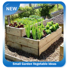 Petites idées de légumes de jardin icône