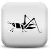 Crickets APK
