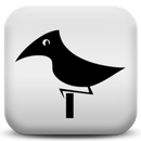 طائر APK