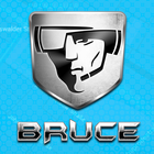 Bruce icon