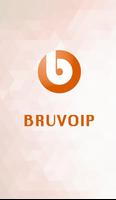 Bruvoip 截图 1